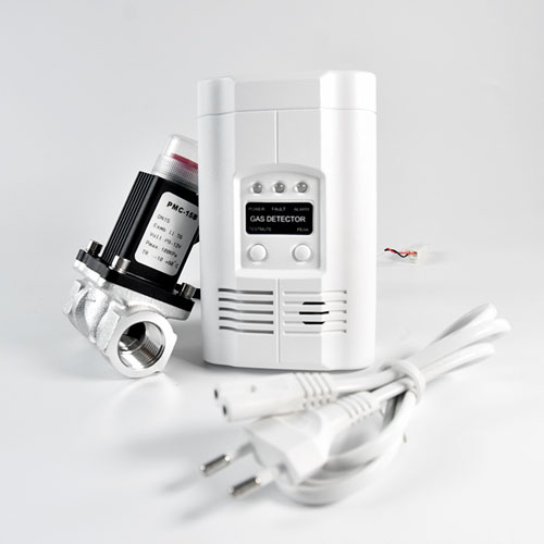 Standalone Gas Detector With Magnetic Valve